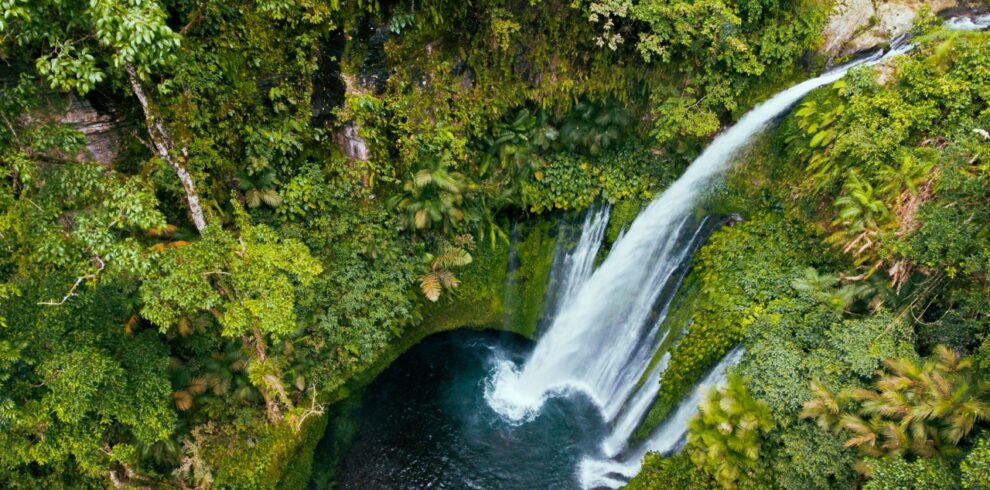 tiu-kelep_1229639707